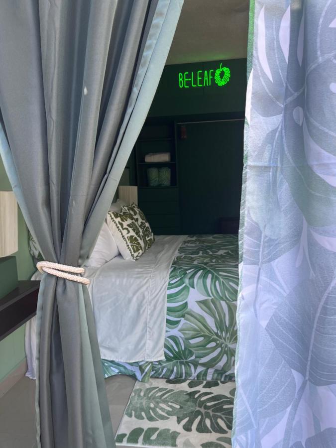 Dici Co-Living Housing Cabo San Lucas Panzió Kültér fotó