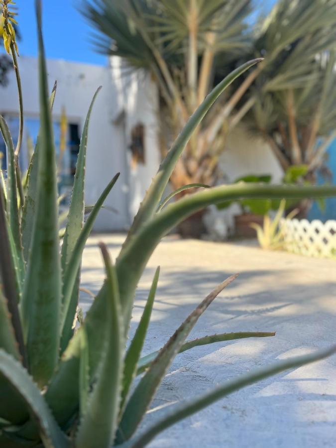 Dici Co-Living Housing Cabo San Lucas Panzió Kültér fotó