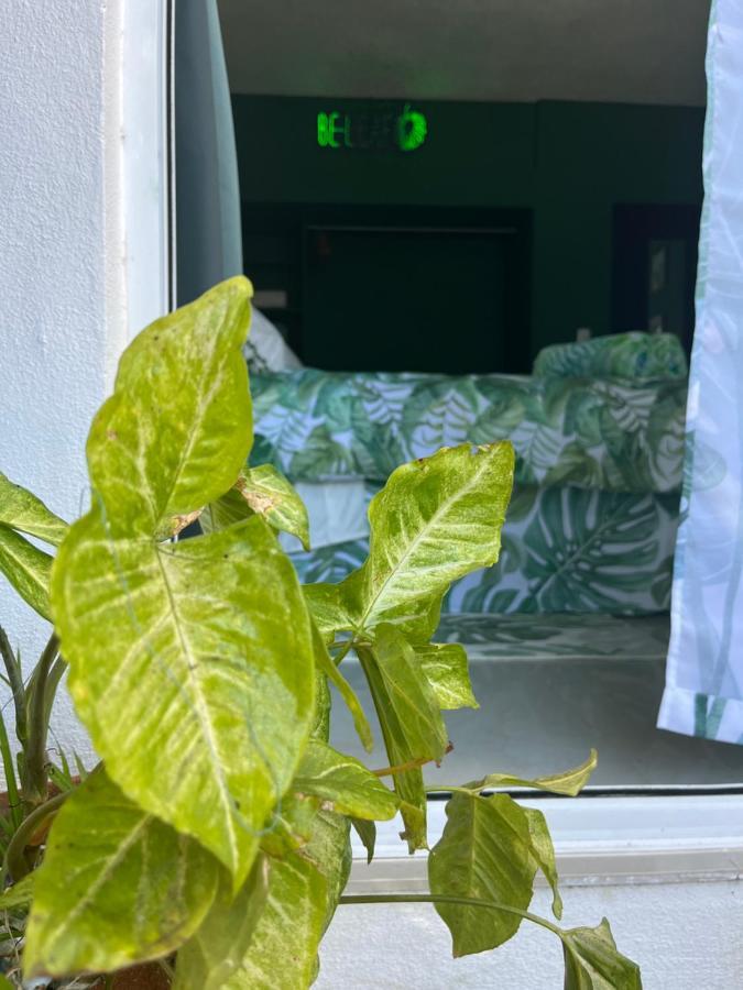 Dici Co-Living Housing Cabo San Lucas Panzió Kültér fotó