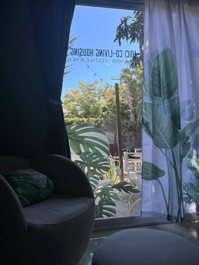 Dici Co-Living Housing Cabo San Lucas Panzió Kültér fotó