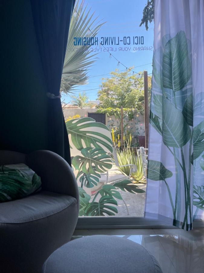 Dici Co-Living Housing Cabo San Lucas Panzió Kültér fotó